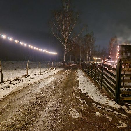 Harmony Villa Lupeni Straja Екстериор снимка