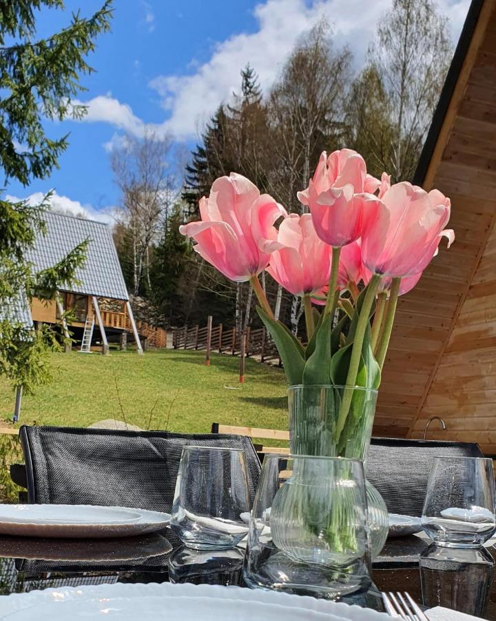 Harmony Villa Lupeni Straja Екстериор снимка
